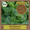Samenliebe Feldsalat