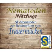 Samenshop24 1302003