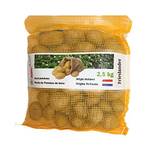 Samenshop24 Pflanzkartoffeln Frieslander