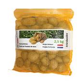 Samenshop24 Pflanzkartoffeln Frieslander Vergleich