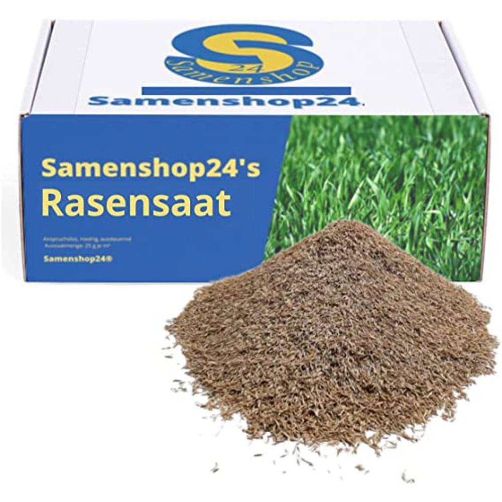 Rasensamen Test & Vergleich Top 10