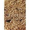 Samenshop24 Vermiculite für Pflanzen