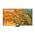 Samsung 55Q80D