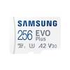 Samsung Evo Plus 256 GB