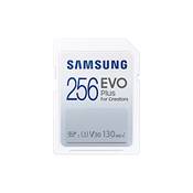 Samsung EVO Plus MB-SC256K/EU Vergleich