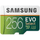 Samsung Evo Select 256 GB