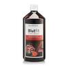 Sanct Bernhard Blutfit