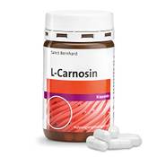 Sanct Bernhard L-Carnosin