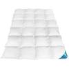 Sandaro Home Daunendecke 200x220