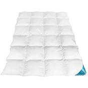 Sandaro Home Daunendecke 200x220