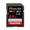 SDXC (64 GB)