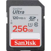 SanDisk Ultra SDXC SDSDUN4-256G-GN6IN Vergleich