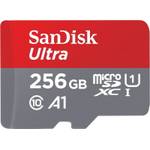 SanDisk Ultra 256 GB Class 10