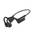 Sanoto Knochenschall DG06