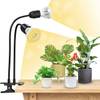 Pflanzenlampen