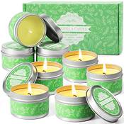 Scentorini Citronella-Kerzen Vergleich