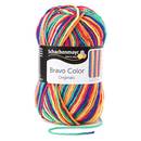 Schachenmayr Bravo Color 9801421-00090