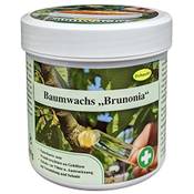 Schacht Brunonia Baumwachs