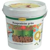 Schacht Raupenleim Brunonia