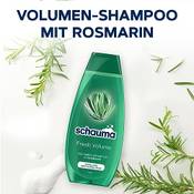 Schauma Volumen Shampoo Fresh Volume Vergleich