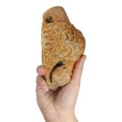 Schecker ‎059810 Vergleich