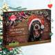 Schecker Hunde-Adventskalender Vergleich