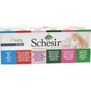 Schesir Katzenfutter nass Multipack