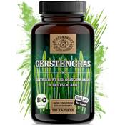 Scheunengut Gerstengras Bio