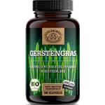 Scheunengut Gerstengras