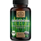 Scheunengut Gerstengras
