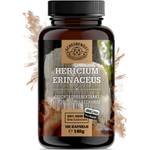 Scheunengut Hericium