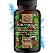 Scheunengut Wasserharmonie
