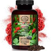 Scheunengut Roter Panax Ginseng