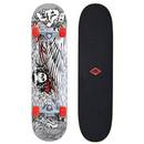 Schildkröt Kicker 31