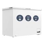 Schoepf Gefriertruhe GT300S