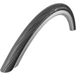 Schwalbe Lugano