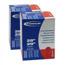 Schwalbe 28-29 SV19