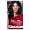 Schwarzkopf Brillance 891 Noir Bleuté