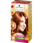 Schwarzkopf Country Colors Vergleich