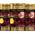 Syoss Oleo Intense Öl-Coloration 5-92 Helles Aschblond