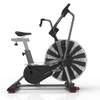 Schwinn Airdyne AD8