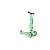 Scoot and Ride  2-in-1 Kickboard