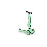 Scoot and Ride  2-in-1 Kickboard