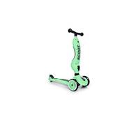 Scoot and Ride  2-in-1 Kickboard
