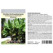 Seedeo Große Schneebanane Vergleich