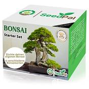 Seedpal Bonsai Starter Kit Vergleich