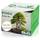 Seedpal Bonsai Starter Kit