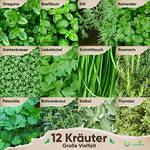 Seedpal Küchenkräuter
