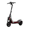 Segway Ninebot ZT3 Pro D