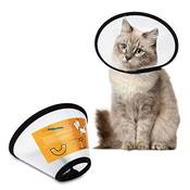 Senpusi Halskrause Katze Vergleich